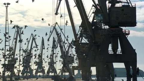 Las gruas del puerto de Tarragona paradas.