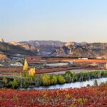 La Rioja: la tierra del vino se viste de vendimia