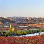  La Rioja: la tierra del vino se viste de vendimia