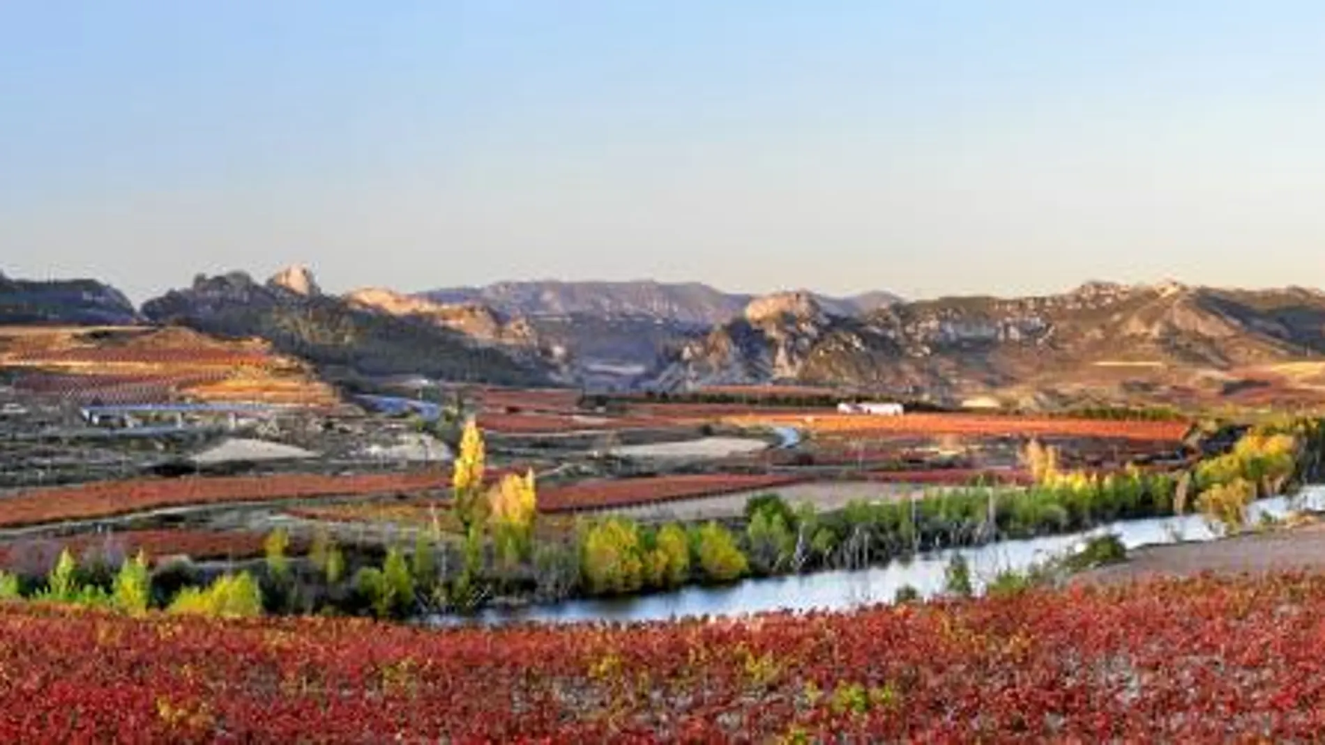 La Rioja: la tierra del vino se viste de vendimia