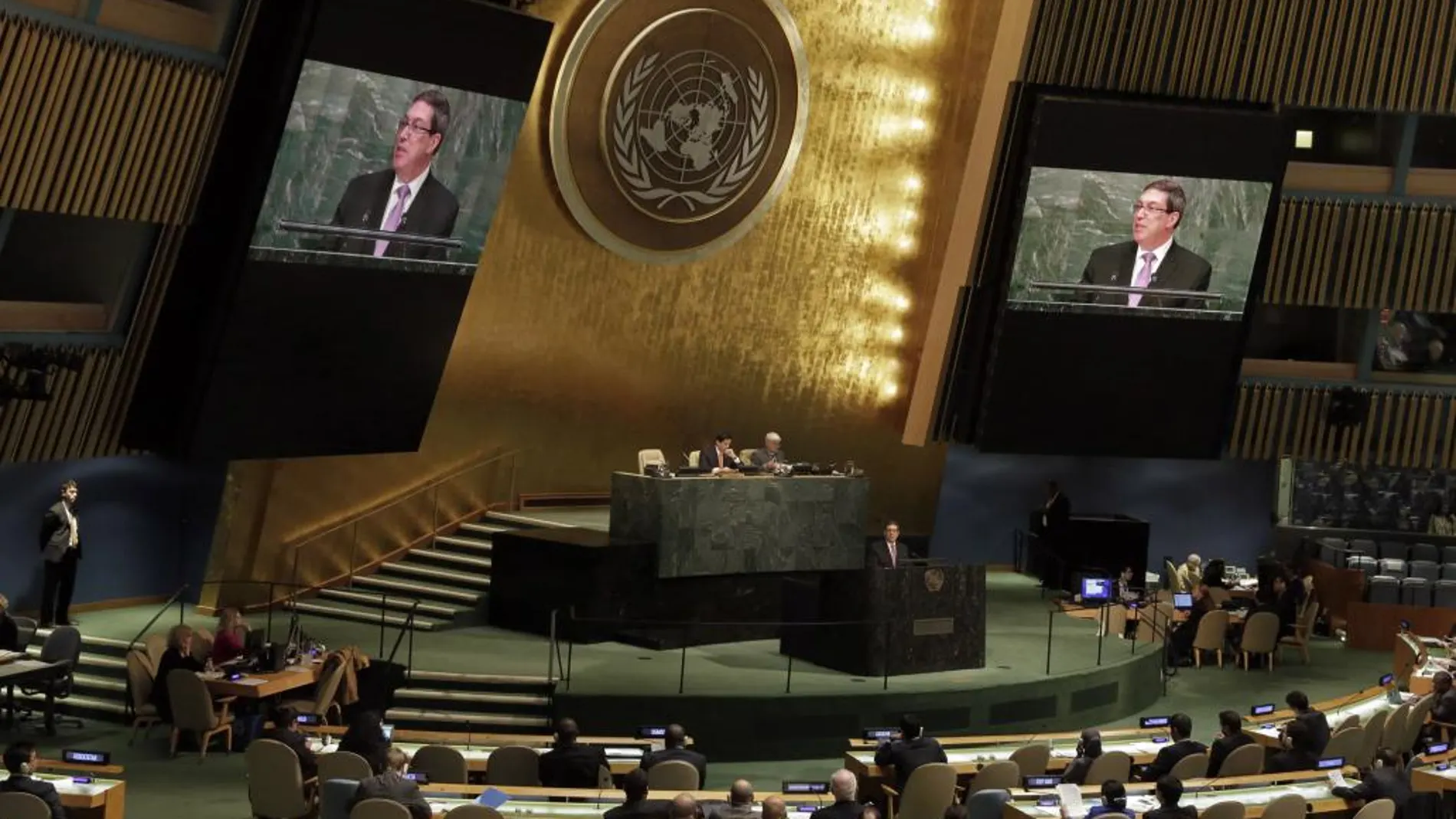 Asamblea General de la ONU