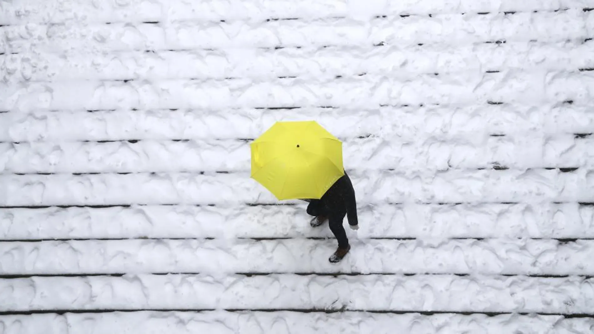 Un hombre baja unas escaleras nevadas en Central Park durante una tormenta invernal en Nueva York.