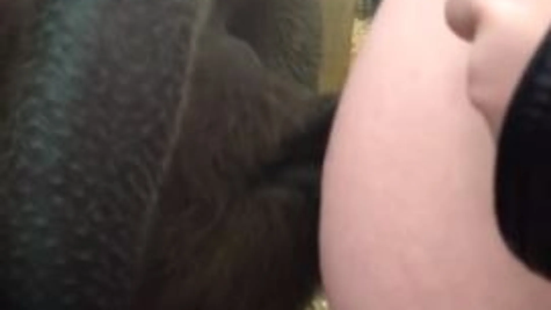 Momento en el que el orangután besa la barriga de Kayley