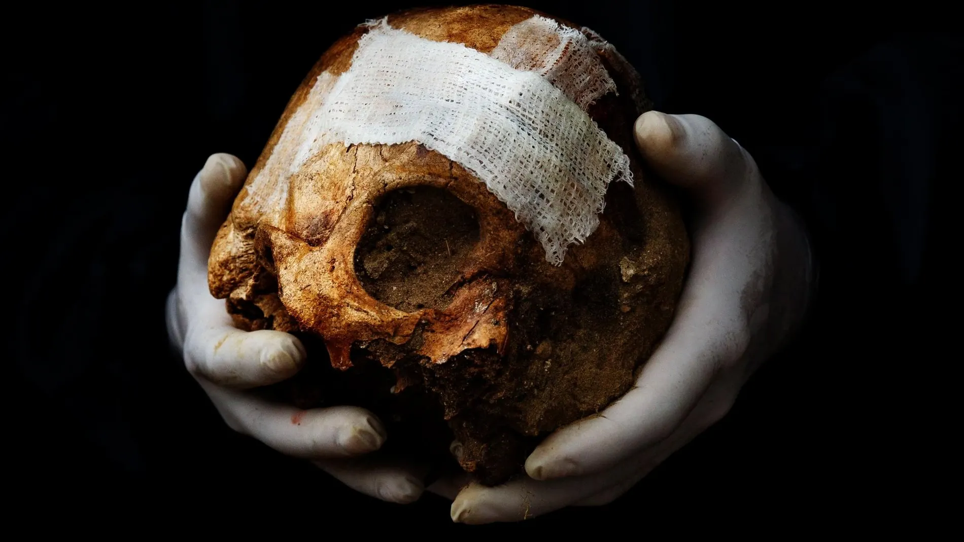 Cráneo procedente de una exhumación en una fosa común en el cementerio de Puerto Real, en Cádiz