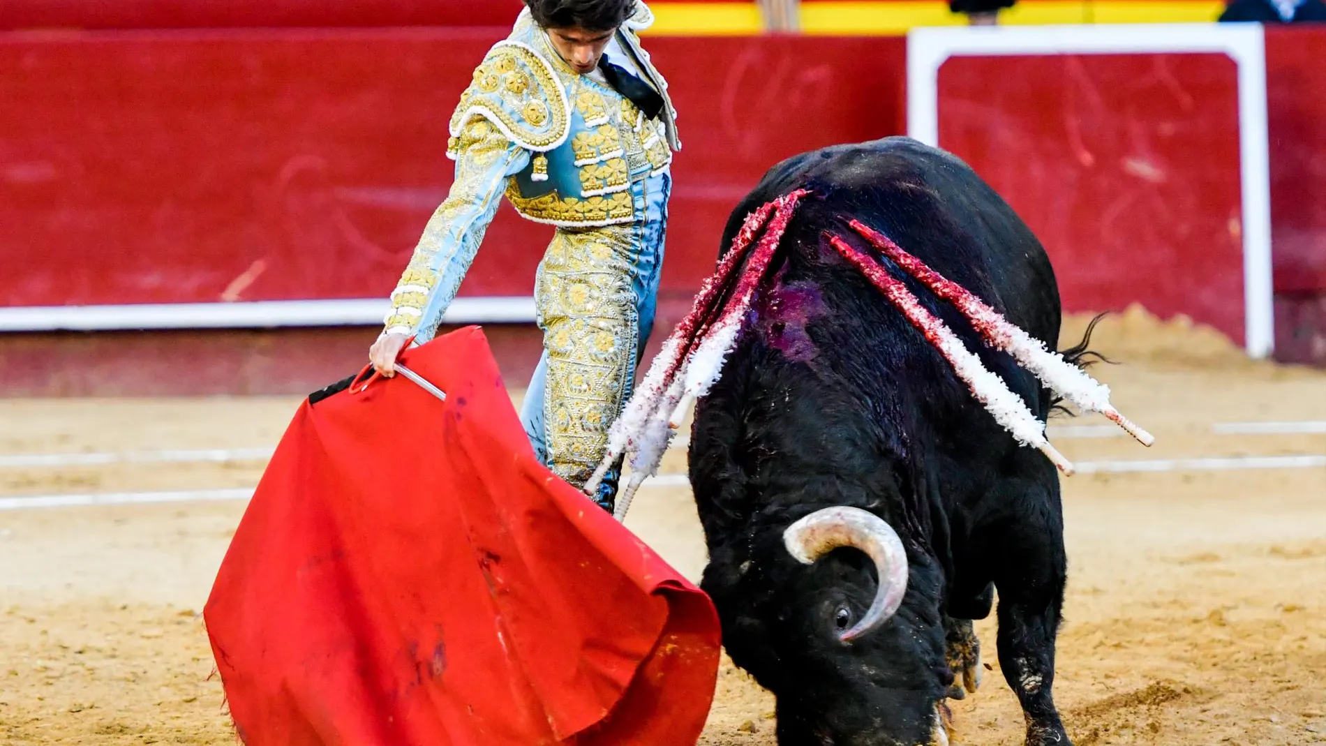 Sebastián Castella ha abierto esta tarde la Puerta Grande de la plaza de toros de Valencia al desorejar a «Horroroso», un bravo y extraordinario toro de Jandilla
