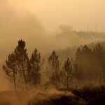 El humo cubre el bosque quemado de Alto do Soeirinho