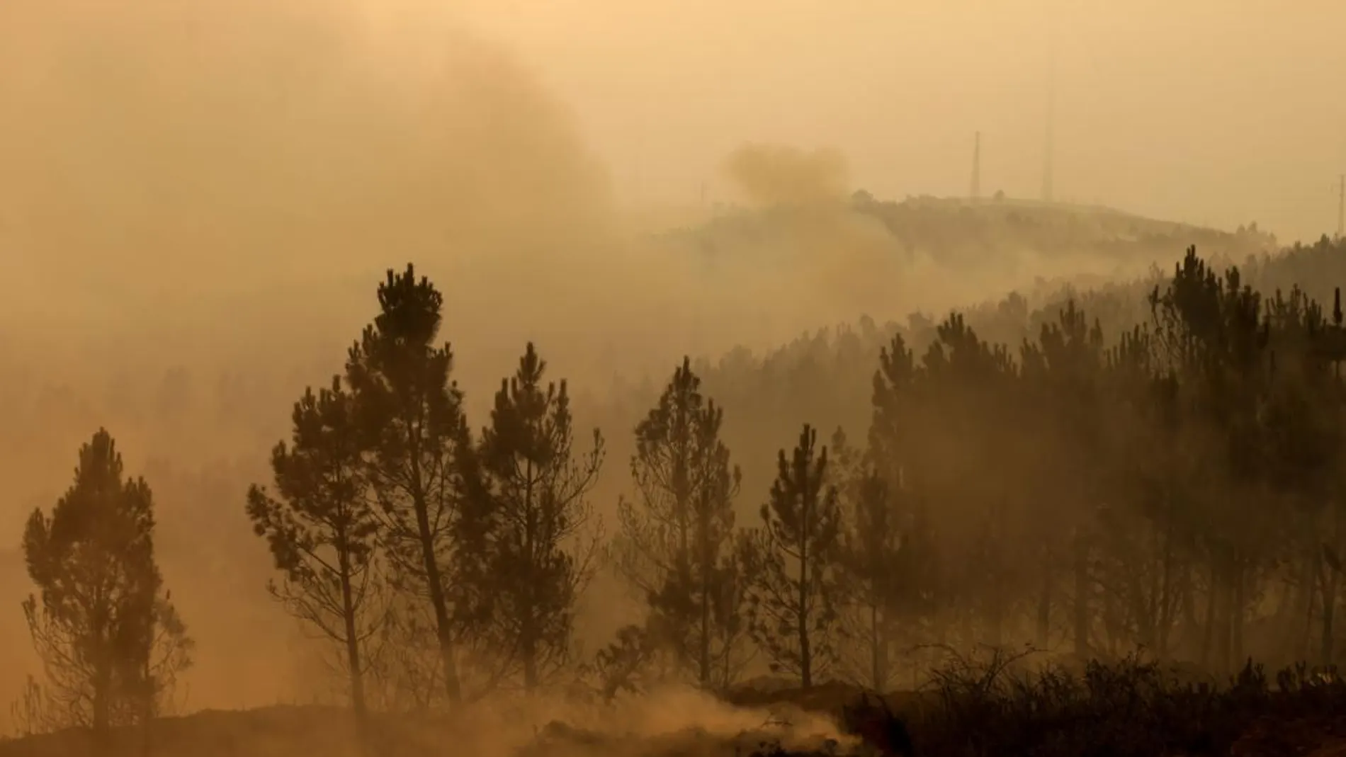 El humo cubre el bosque quemado de Alto do Soeirinho