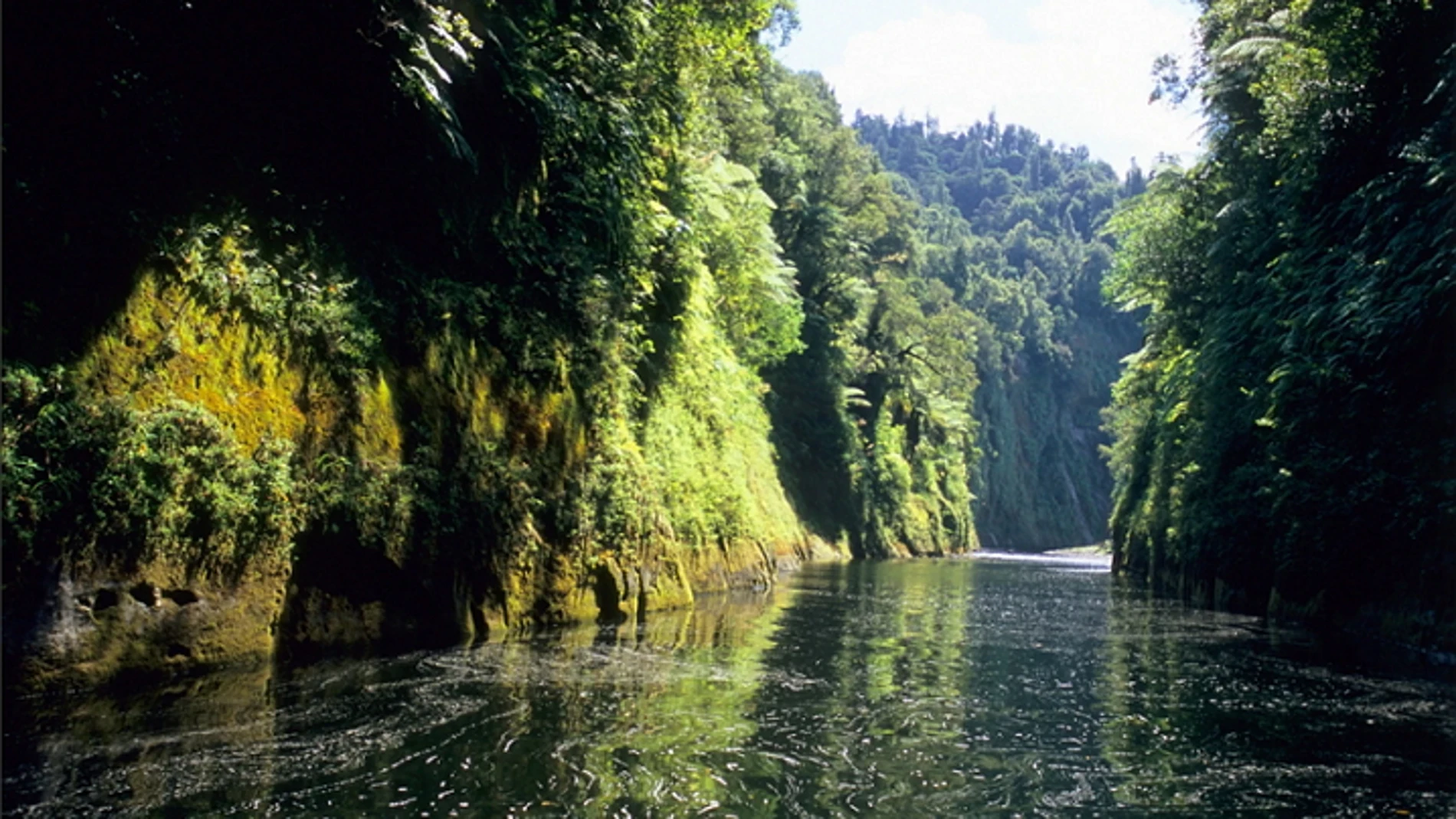 Los maoríes, los indígenas de Nueva Zelanda, llevaban 160 años pidiendo el reconocimiento del río como una entidad viva.
