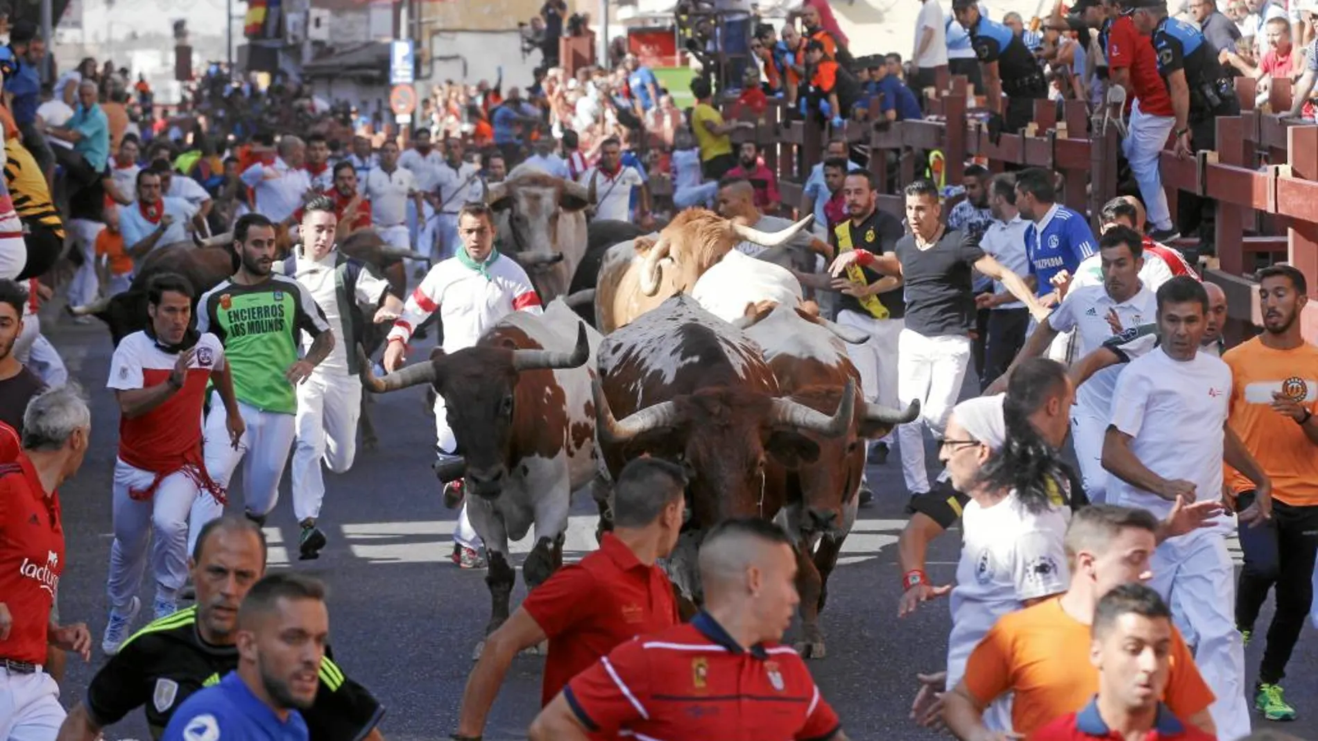 El primer encierro de las fiestas de San Sebastián de los Reyes se saldó con cinco heridos leves y uno con pronóstico reservado tras sufrir un traumatismo craneoencefálico