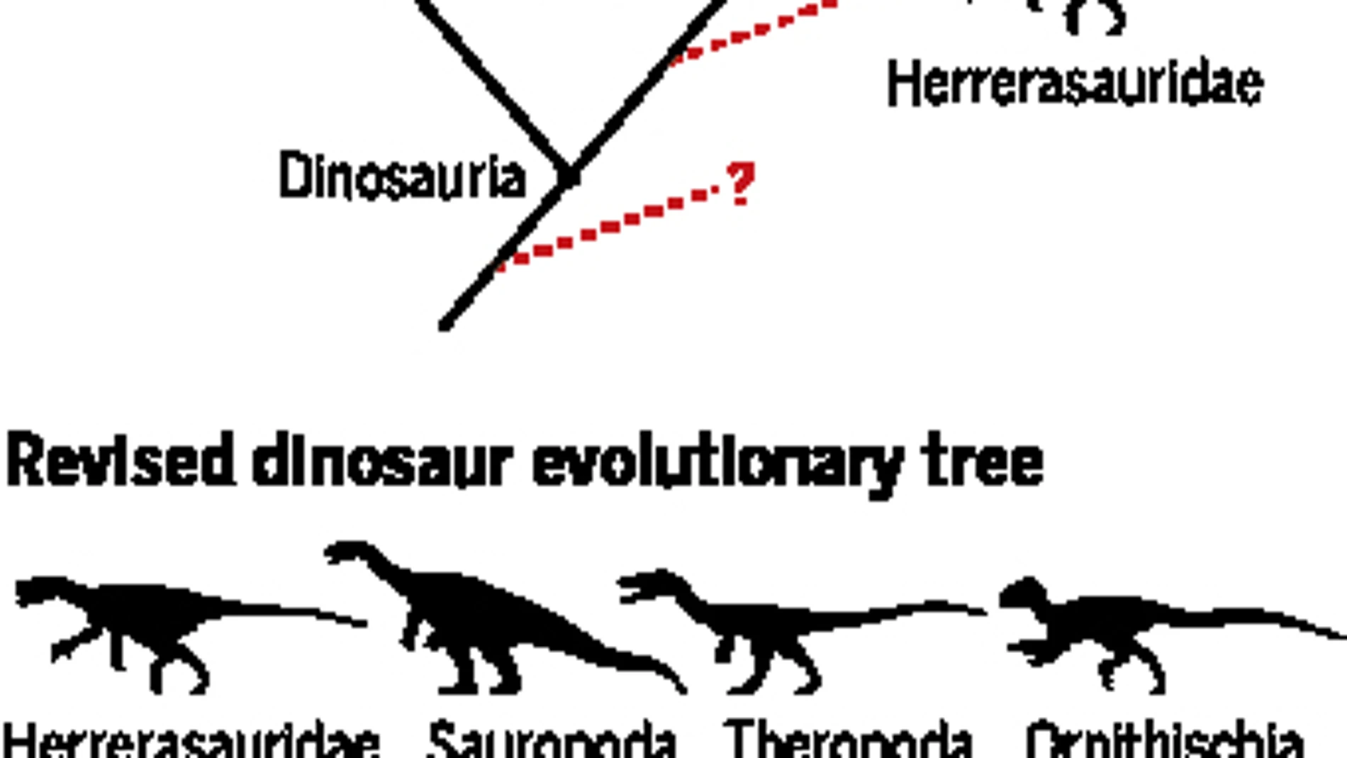 Revolución en el árbol genealógico de los dinosaurios