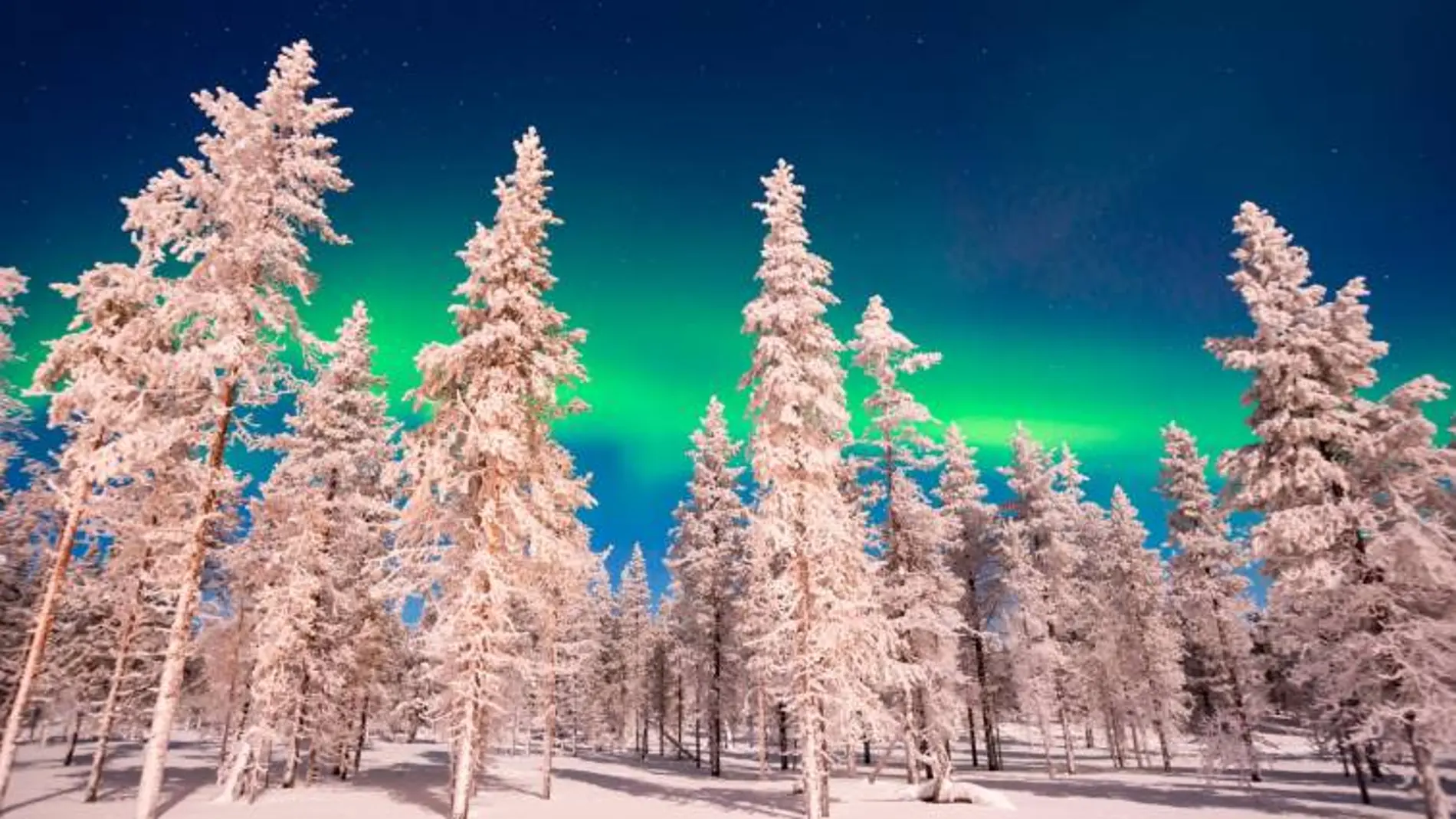 Aurora boreal en Finlandia/ Dreams.