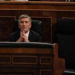El ministro del Interior, Fernando Grande Marlaska. Foto: C. Pastrano