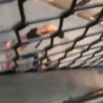 Así ha sido la agresión a machetazos hoy en el barrio de El Raval de Barcelona