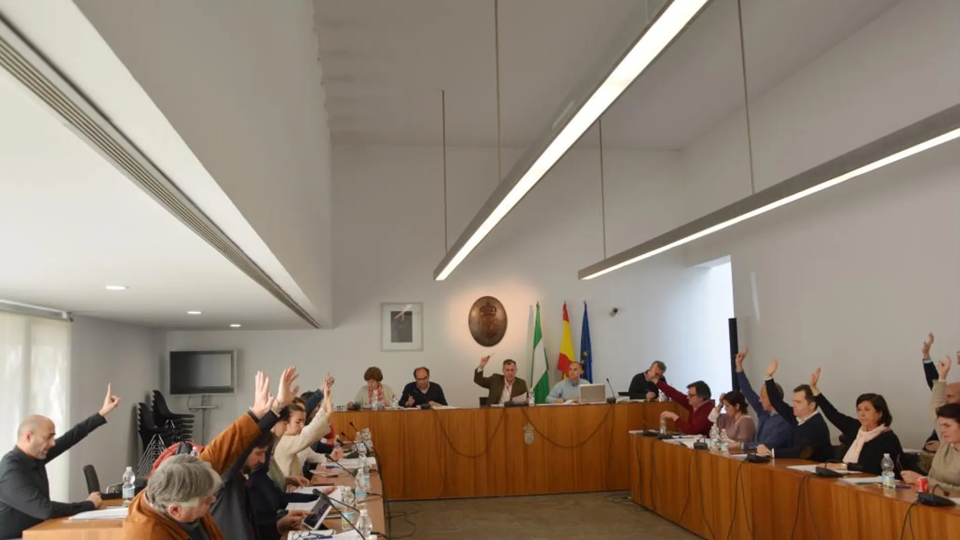 El Pleno aprobó por unanimidad las medidas para mejorar la situación de los vecinos de la urbanización Sport Aljarafe