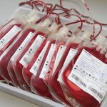 El Banco de Sangre Animal recibe unas 120 donaciones al mes