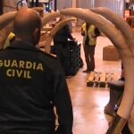 Los artículos eran custodiados en una nave industrial