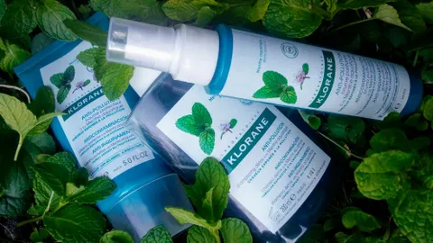 Qué puede hacer la menta por tu pelo