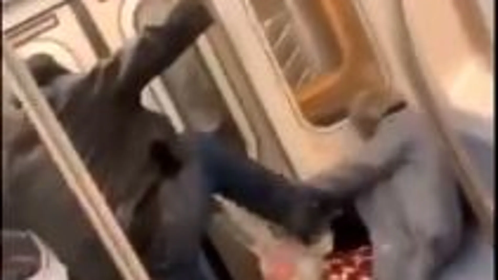 Captura del vídeo de la agresión / Twitter