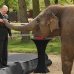 Una de las últimas apariciones públicas del duque de Edimburgo en un zoo de Bedfordshire