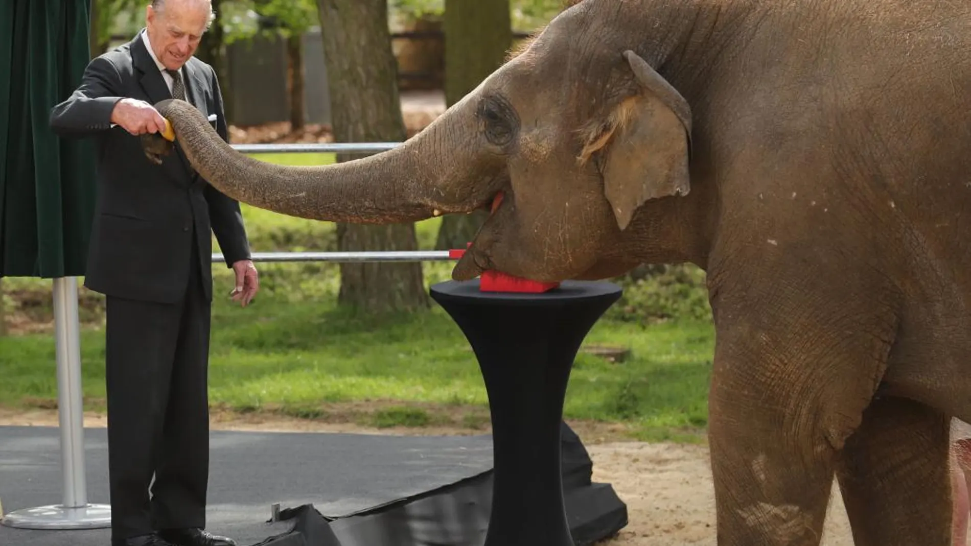 Una de las últimas apariciones públicas del duque de Edimburgo en un zoo de Bedfordshire