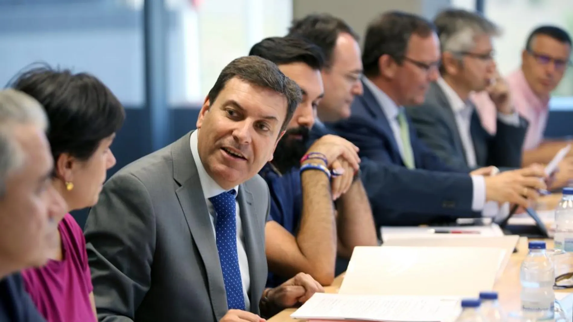 El consejero de Empleo, Carlos Fernández Carriedo, en un momento del Consejo de Políticas Demográficas
