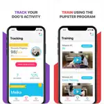 Pupster, la app que te ayuda a cuidar mejor de tu mascota