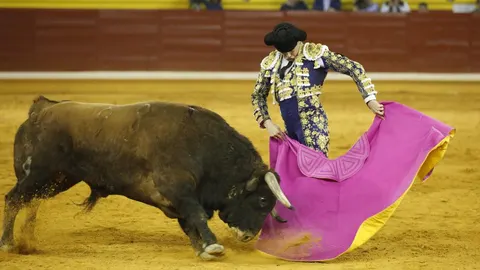 Manzanares durante la corrida en Illescas