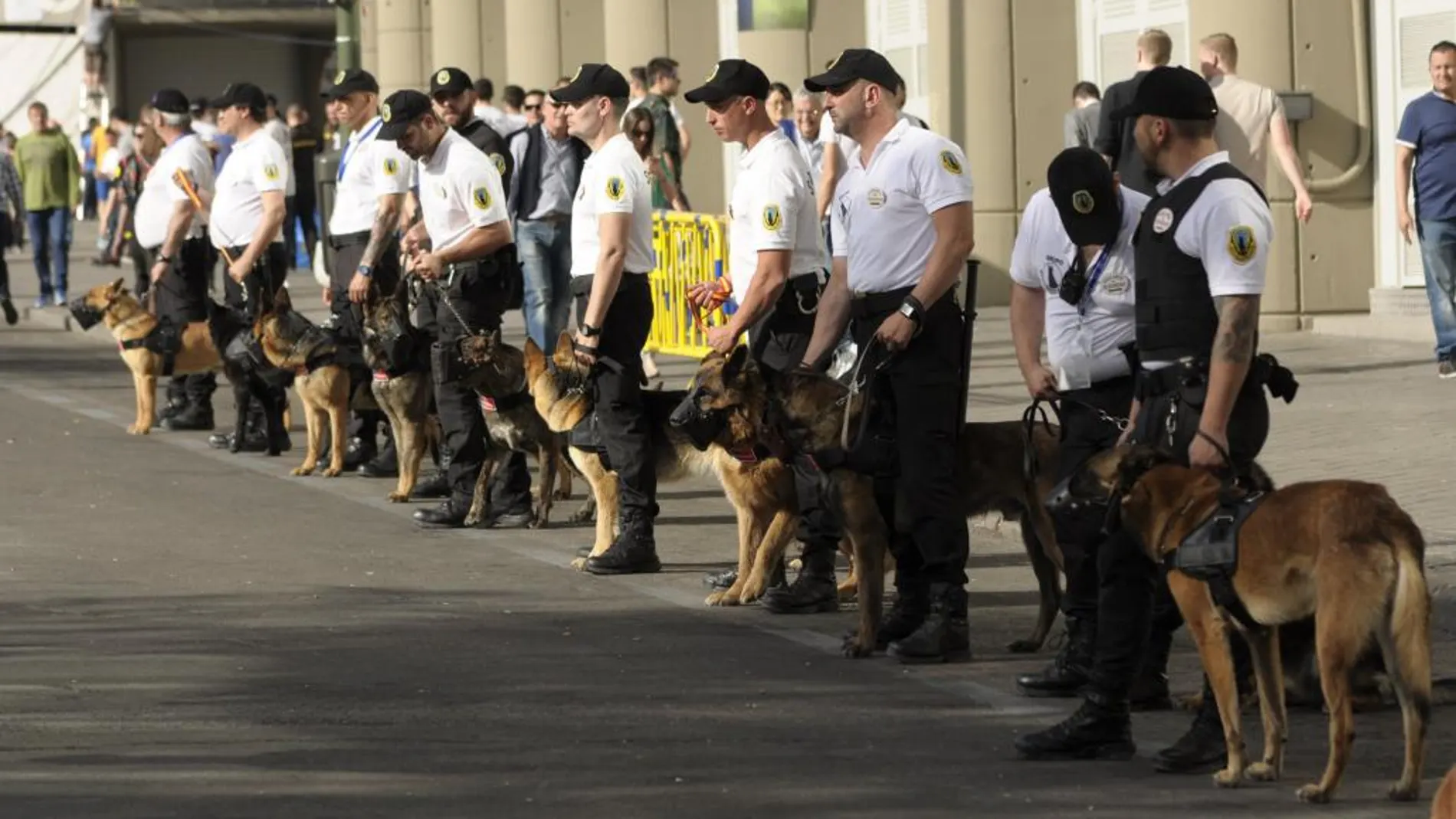 Los perros de SecurityDogs acuden junto a sus guías a todos los partidos que el Madrid juega en su estadio