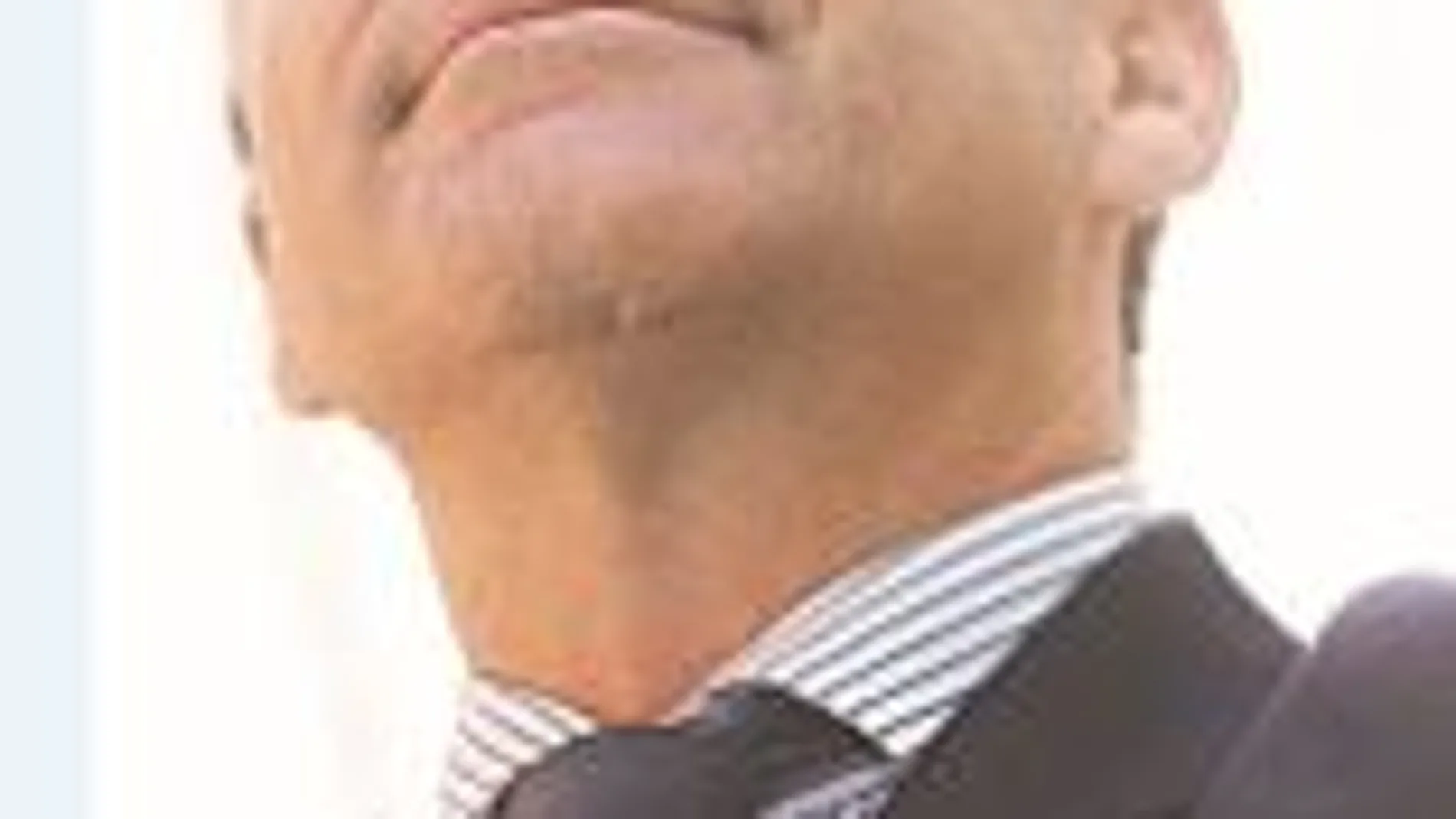 José I. Domecq es el CEO de Fractalia
