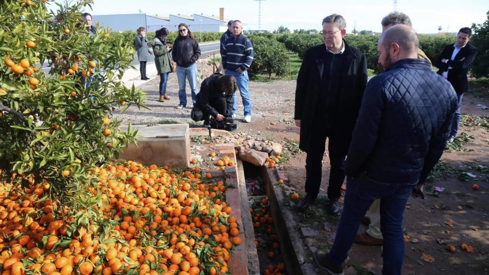 El presidente visitó los campos de naranjos dañados por los efectos del último temporal en la localidad valenciana de Faura, en el Camp de Morvedre