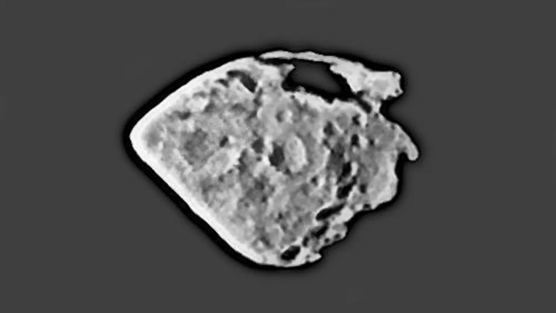 Las gemas ocultas del asteroide Steins
