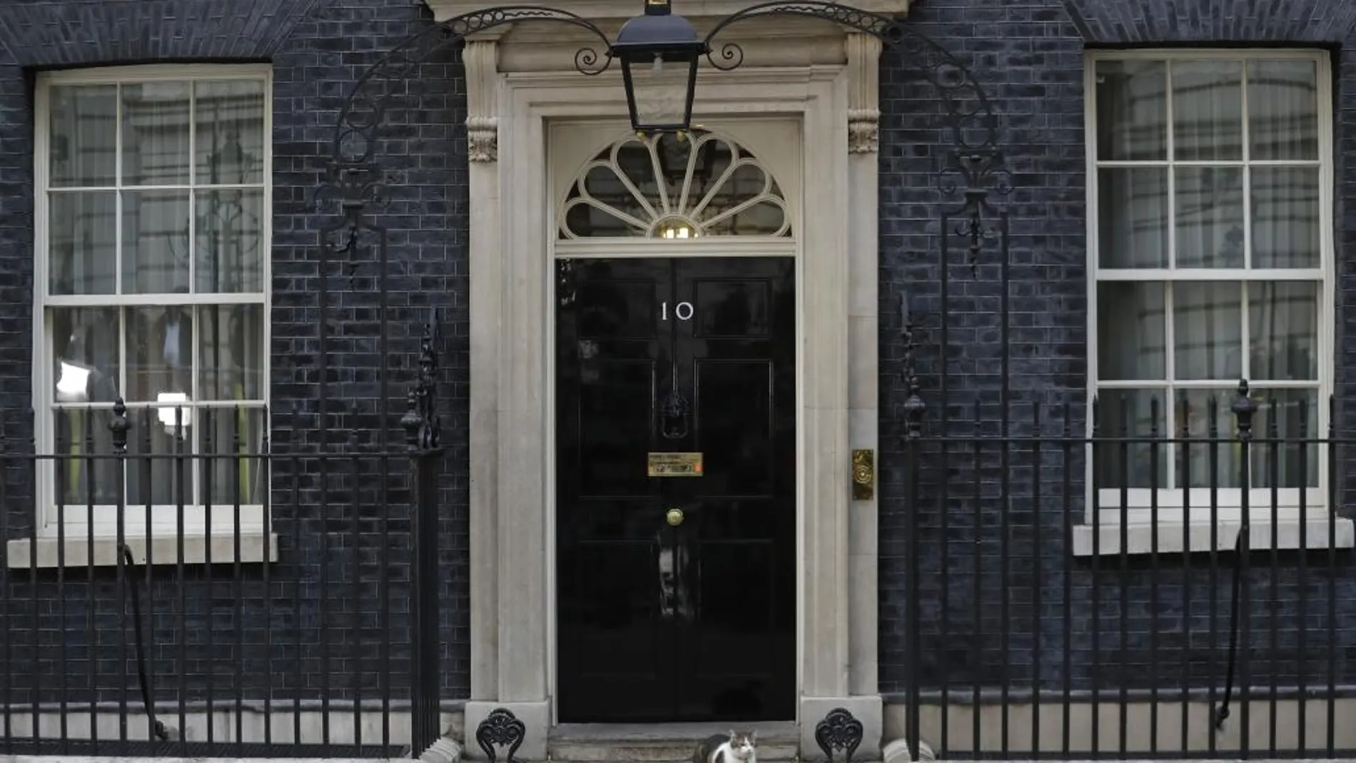El gato Larry a las puertas del nº 10 de Downing Street, residencia oficial de la primera ministra británica, Theresa May, en Londres (Reino Unido)