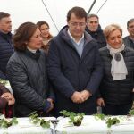 El presidente del PP de Castilla y León y candidato a la Junta, Alfonso Fernández Mañueco, visita un vivero de fresa y frambuesa en Chañe, acompañado de las candidatas del PP de Segovia al Congreso y Senado, Beatriz Escudero y Paloma Sanz, y el secretario general regional de la formación, Francisco Vázquez, entre otros