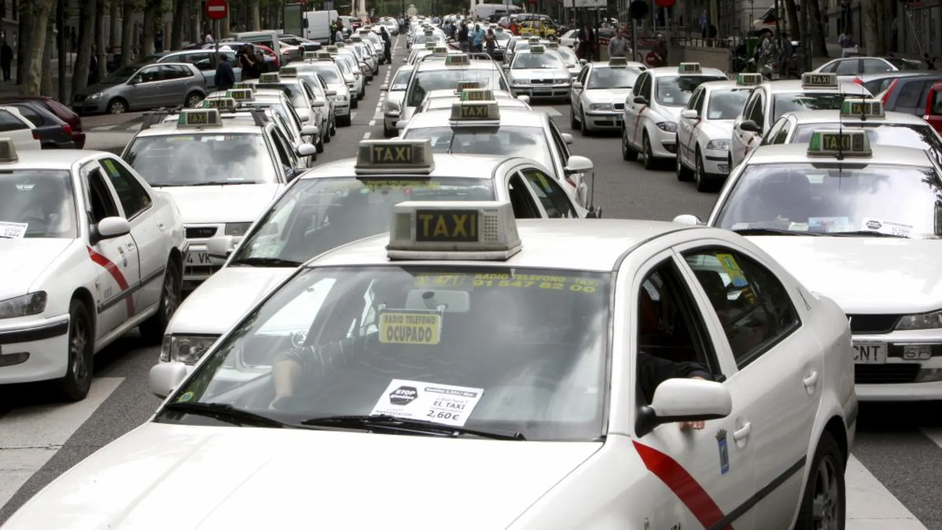 Los nuevos taxis de Madrid tendrán que ser ecológicos desde enero