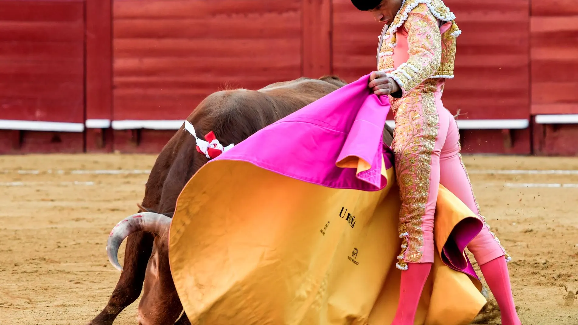 Paco Ureña saludando de capote al toro de su vuelta a los ruedos