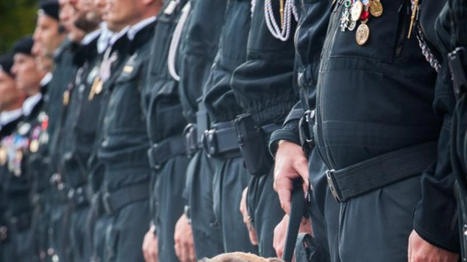 Los perros, indispensables en las operaciones policiales