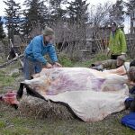 La familia Brown en una de las entregas más duras de «Mi familia vive en Alaska»