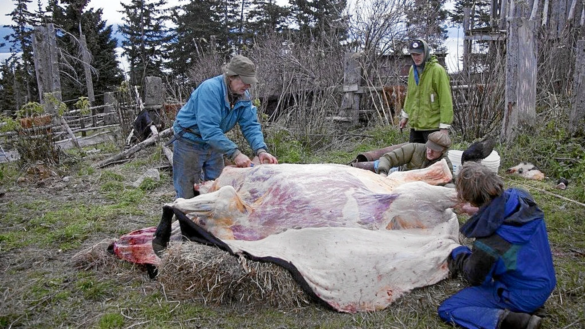 La familia Brown en una de las entregas más duras de «Mi familia vive en Alaska»