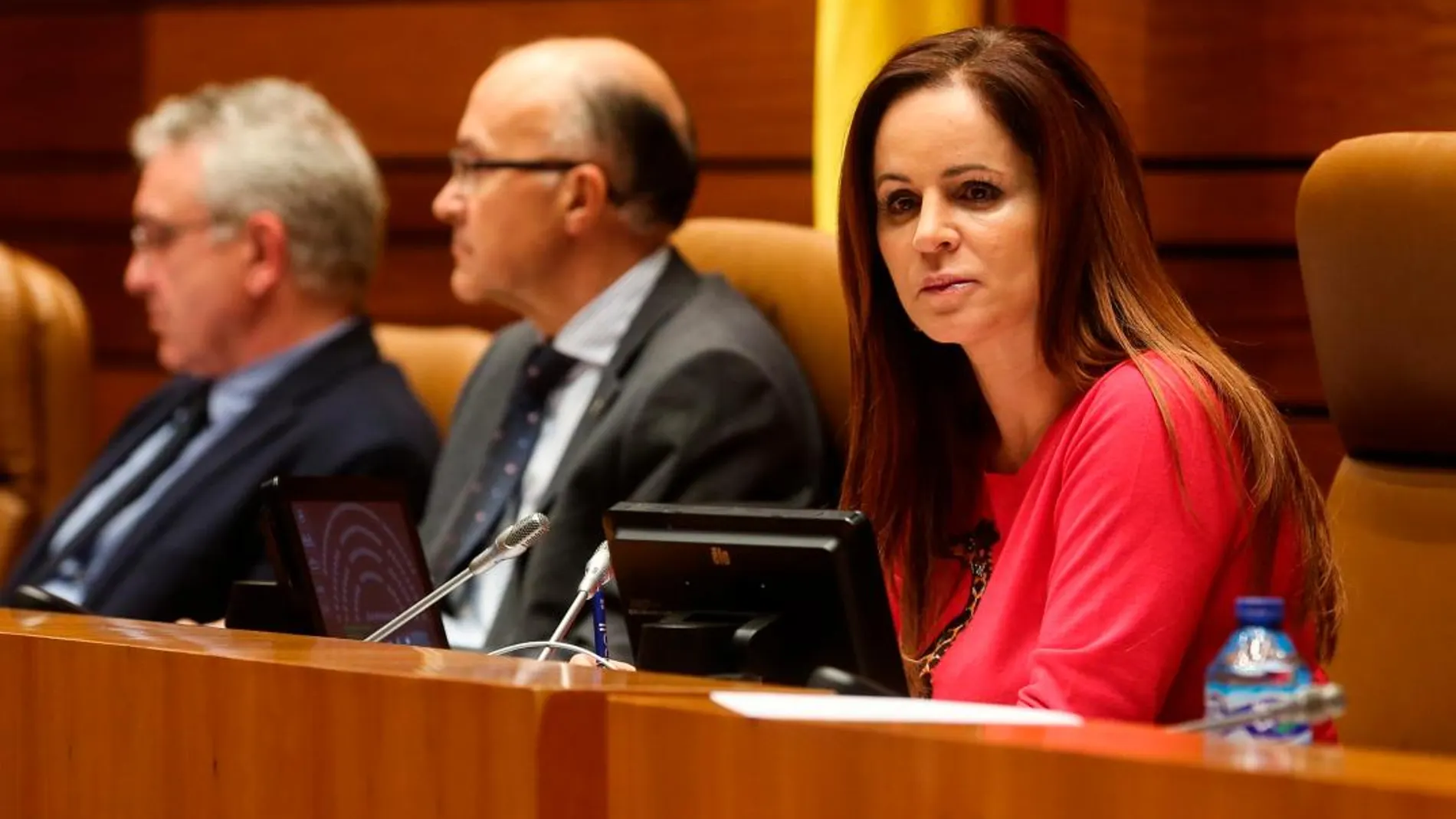 La presidenta de las Cortes de Castilla y León, Silvia Clemente, en un momento del debate del último Pleno