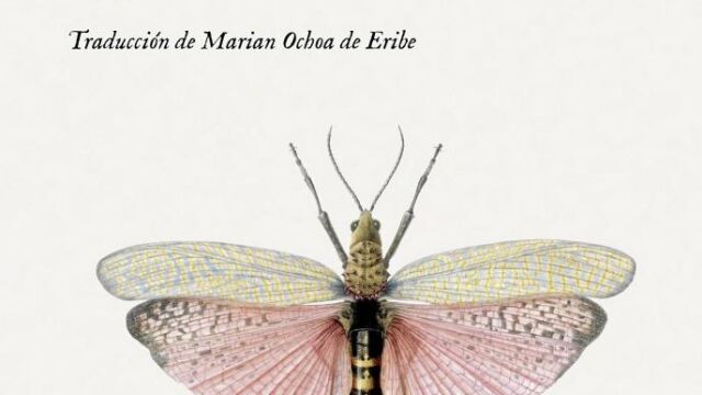 Cartarescu sueña con mariposas