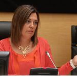 La portavoz y consejera de Agricultura y Ganadería, Milagros Marcos, explica los acuerdos del Consejo de Gobierno