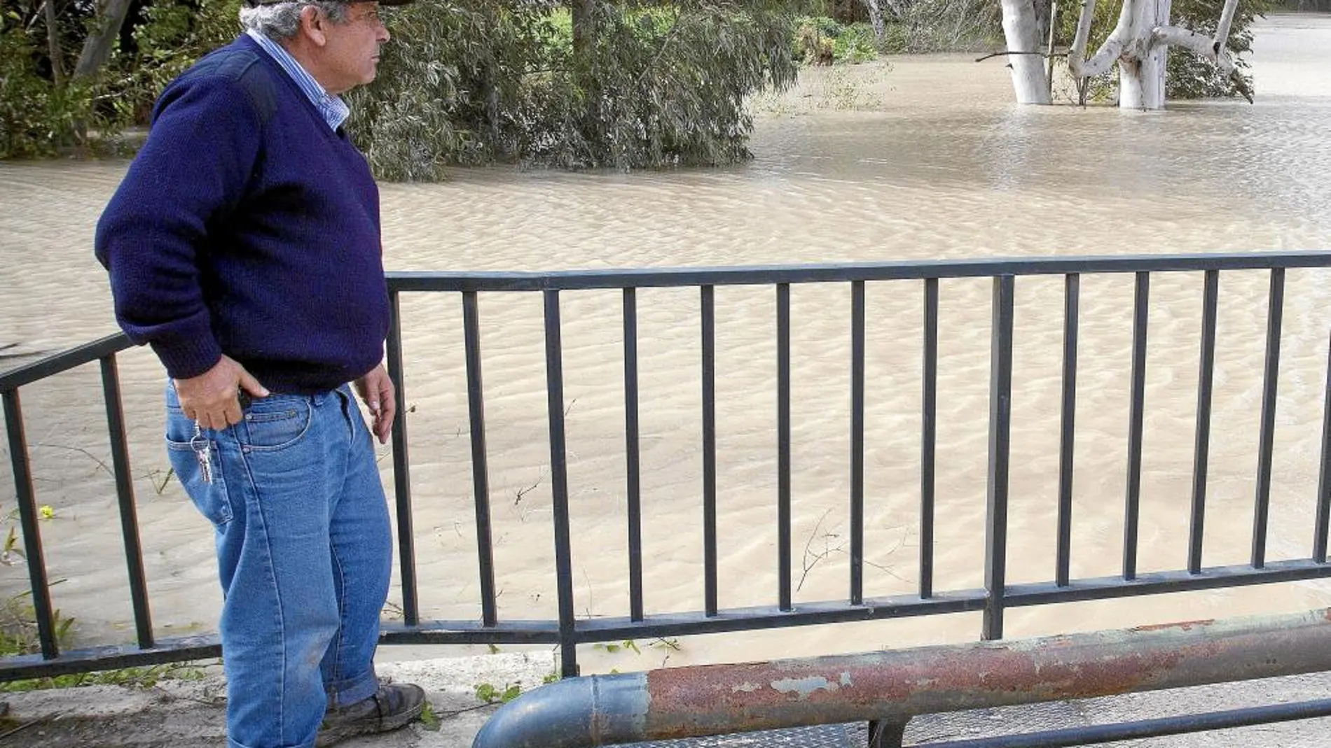 Un vecino observa la crecida del Guadalete en la Greduela