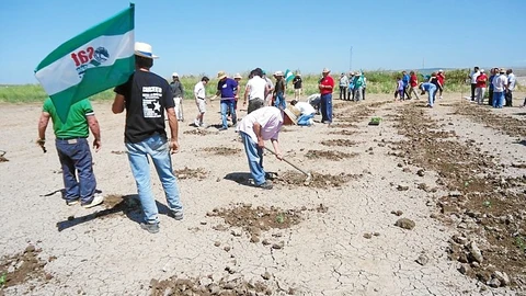Miembros del SAT siembran frutas y hortalizas en la finca