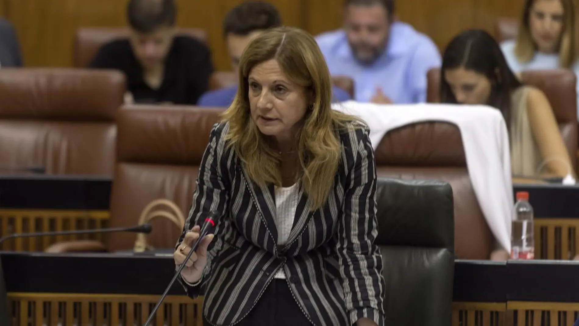 La directa implicación de la nueva consejera de Salud, Marina Álvarez, ha frenado la privatización