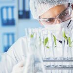 Ganar dinero luchando contra el cáncer y el alzhéimer