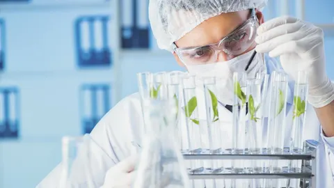 Ganar dinero luchando contra el cáncer y el alzhéimer