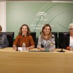 La consejera de Salud, Marina Álvarez