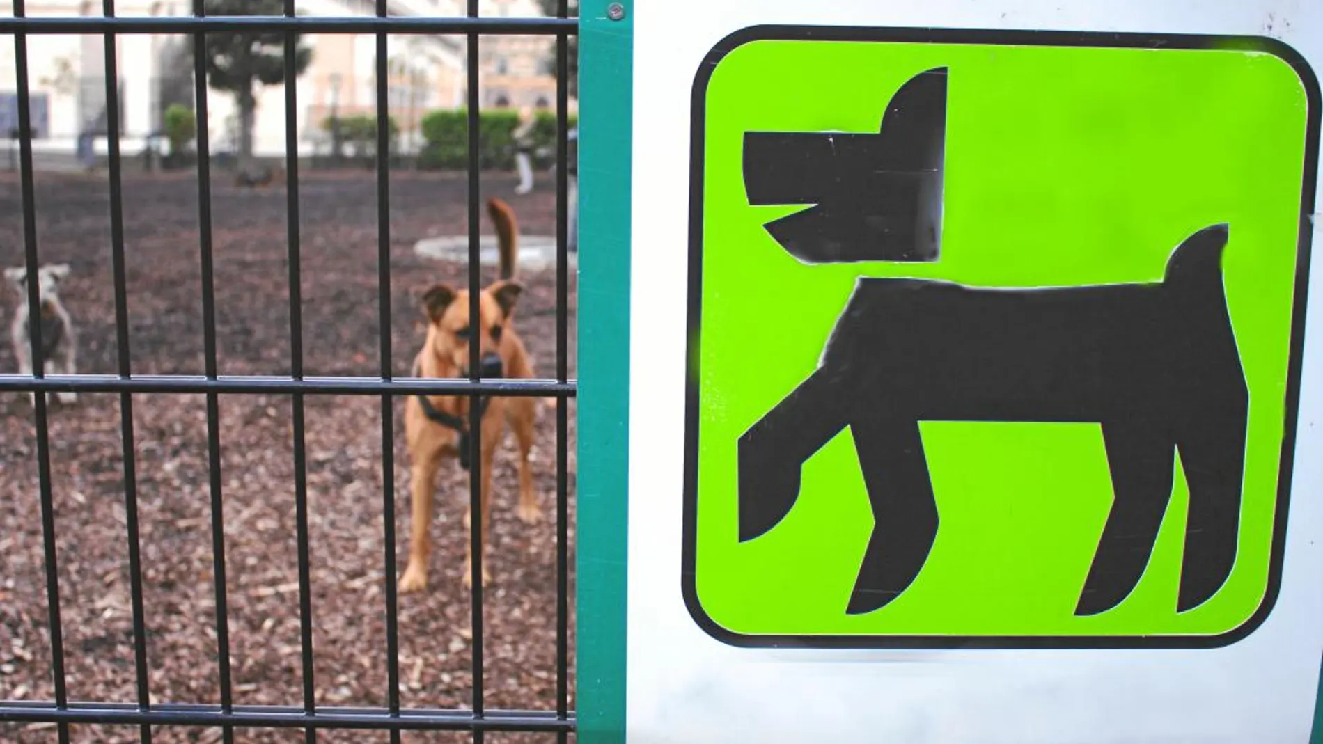 La separación en los parques públicos entre las zonas de juego de niños y de animales ha servido para evitar disputas entre vecinos
