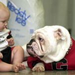 Un estudio demuestra que los perros entienden palabras y la entonación de sus dueños