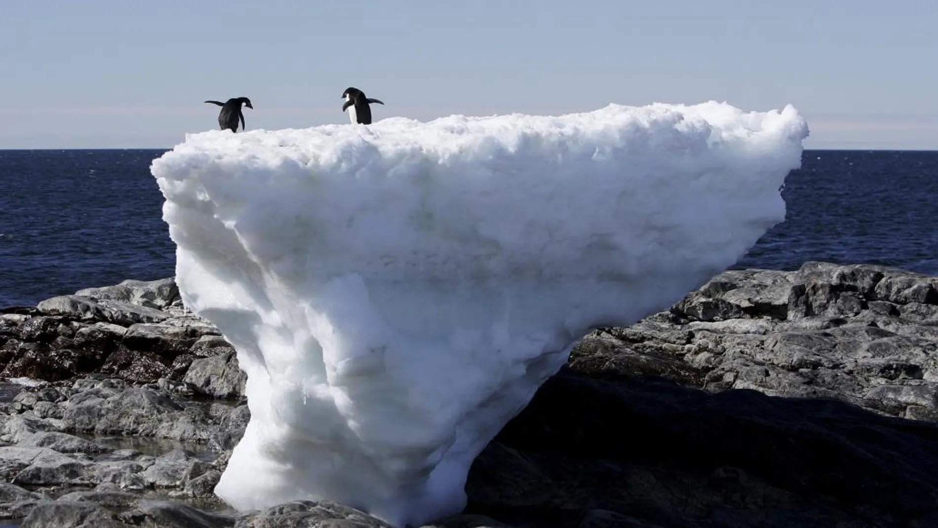 Dos pingüinos sobre un bloque de hielo en la Antártida